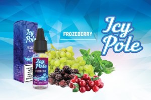 0003163_e-liquid-10ml-icy-pole-frozberry